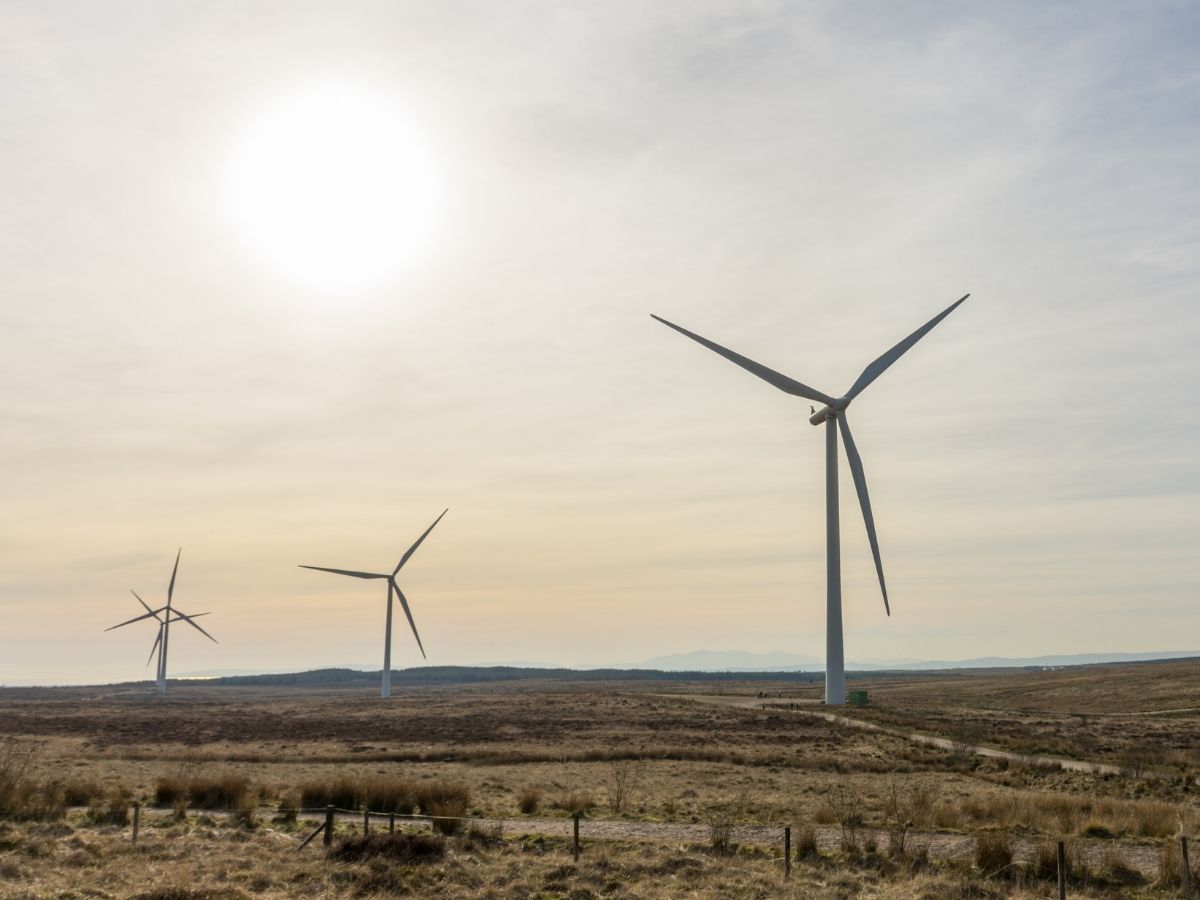 Wind Farm offers inspiration for Neacreath Limited and it's sustainable practices.